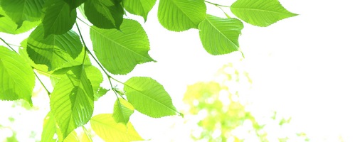 優光泉(ゆうこうせん)販売サイトへ